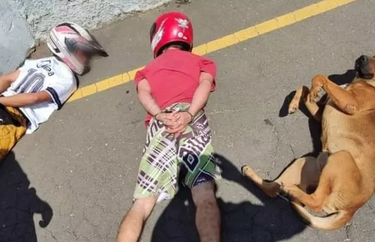 Cão deita ao lado de suspeitos durante abordagem policial e viraliza