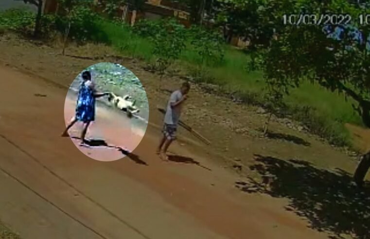 Mulher puxa cachorro pela coleira e o arremessa contra o chão em rua de Santo Antônio do Descoberto