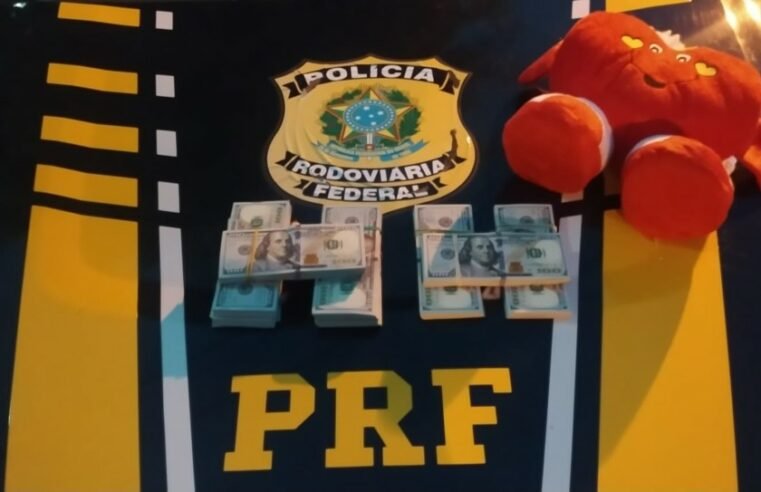 PRF encontra 80 mil dólares escondidos dentro de brinquedo de pelúcia no RS