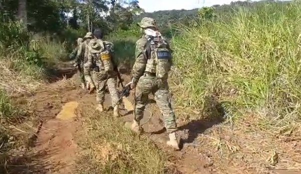 MT: PF e IBAMA concluem operação de combate a crimes ambientais em terras indígenas