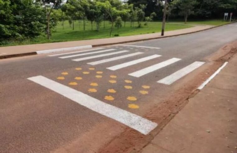 Cidade do Mato Grosso cria faixa de pedestre exclusiva para capivaras