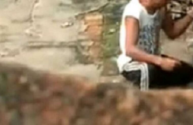 Mulher flagra homem com pênis na boca de filhote de pitbull em Maracaju