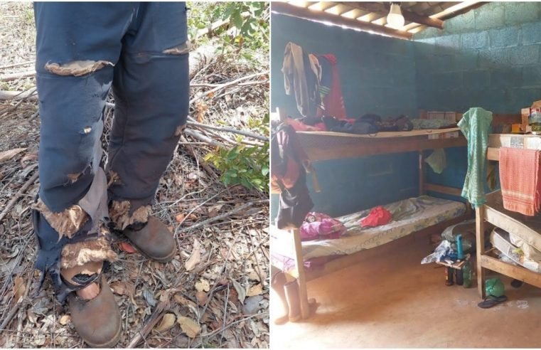 Mais de 20 trabalhadores são resgatados em condições análogas à escravidão em Minas Gerais