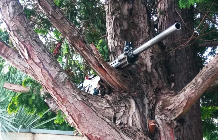 Arma de alto calibre é abandonada em árvore após ataque a empresa de valores, em Guarapuava