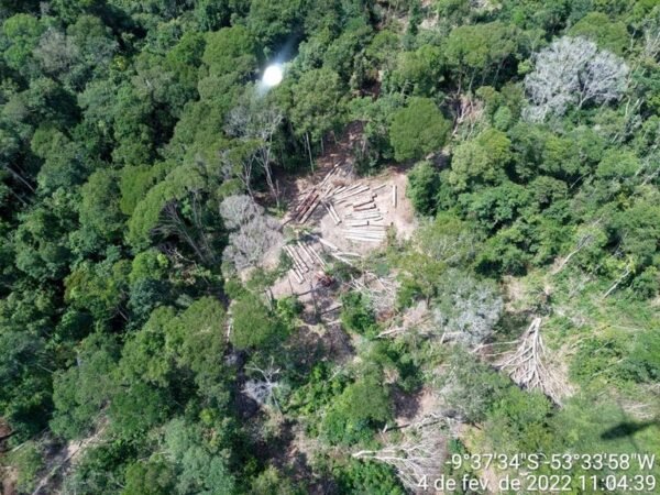 Polícia Federal cumpre mandados em Guarantã do Norte, Matupá e Peixoto por extração ilegal de madeira