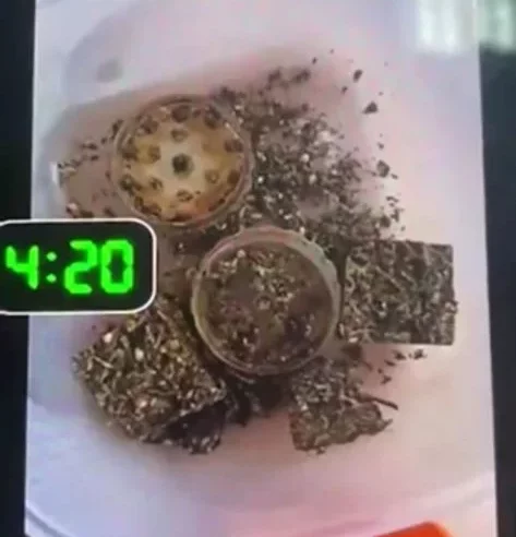 Professora que ensinava receitas com maconha na air fryer é afastada