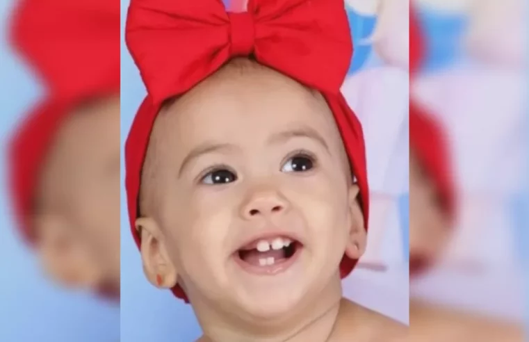 Menina de 1 ano morre após ser picada por escorpião em Birigui