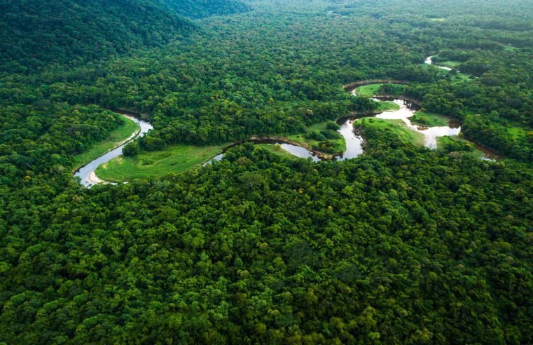 Ratanabá: cidade perdida na Amazônia é real ou não? Entenda