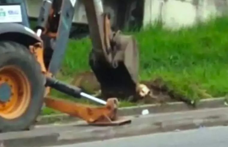 SP: Trator enterra cachorro em canteiro de avenida no litoral