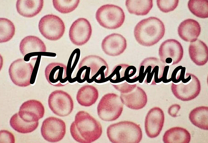Talassemia: saiba o que é a doença e a importância do diagnóstico precoce