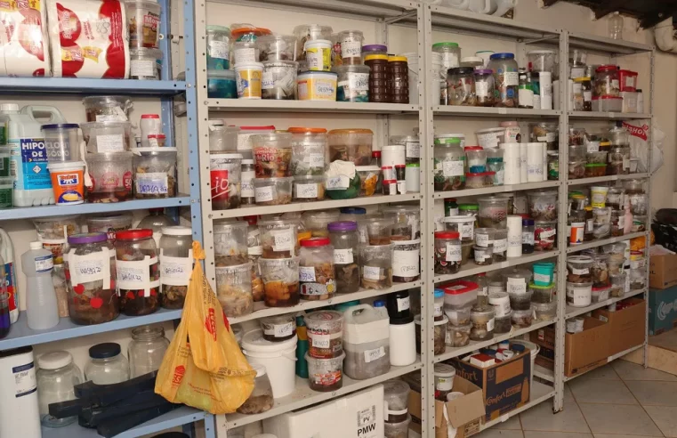 Laboratório que guardava membros humanos em potes de doces recebeu mais de R$ 3 mi do governo no TO