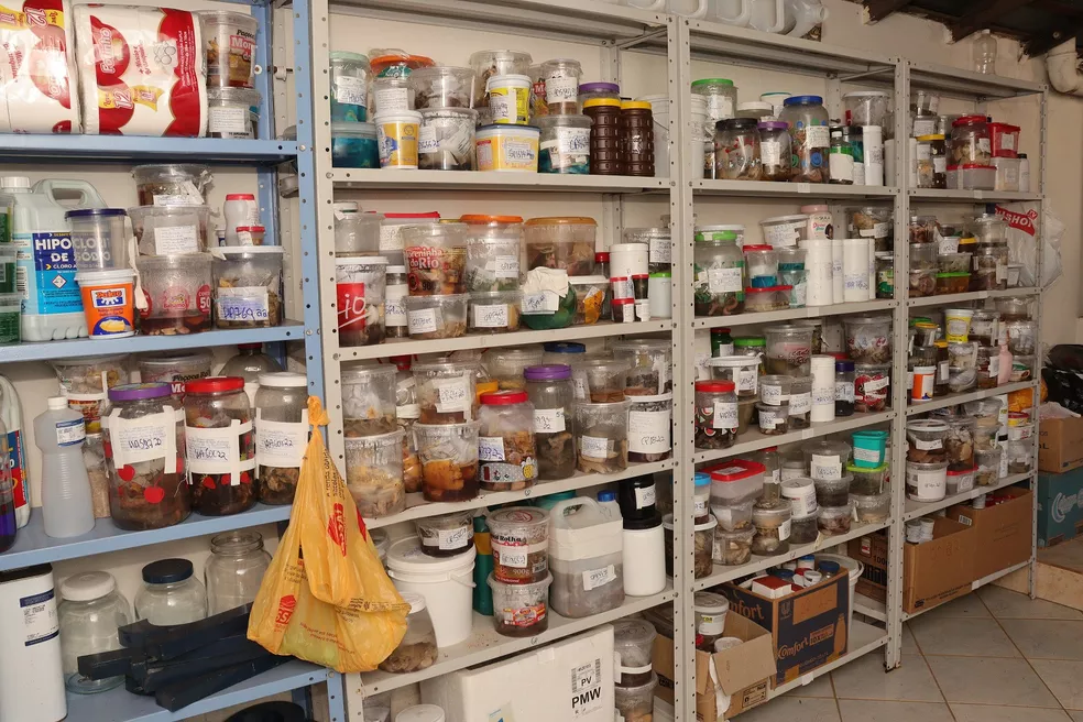 Laboratório que guardava membros humanos em potes de doces recebeu mais de R$ 3 mi do governo no TO