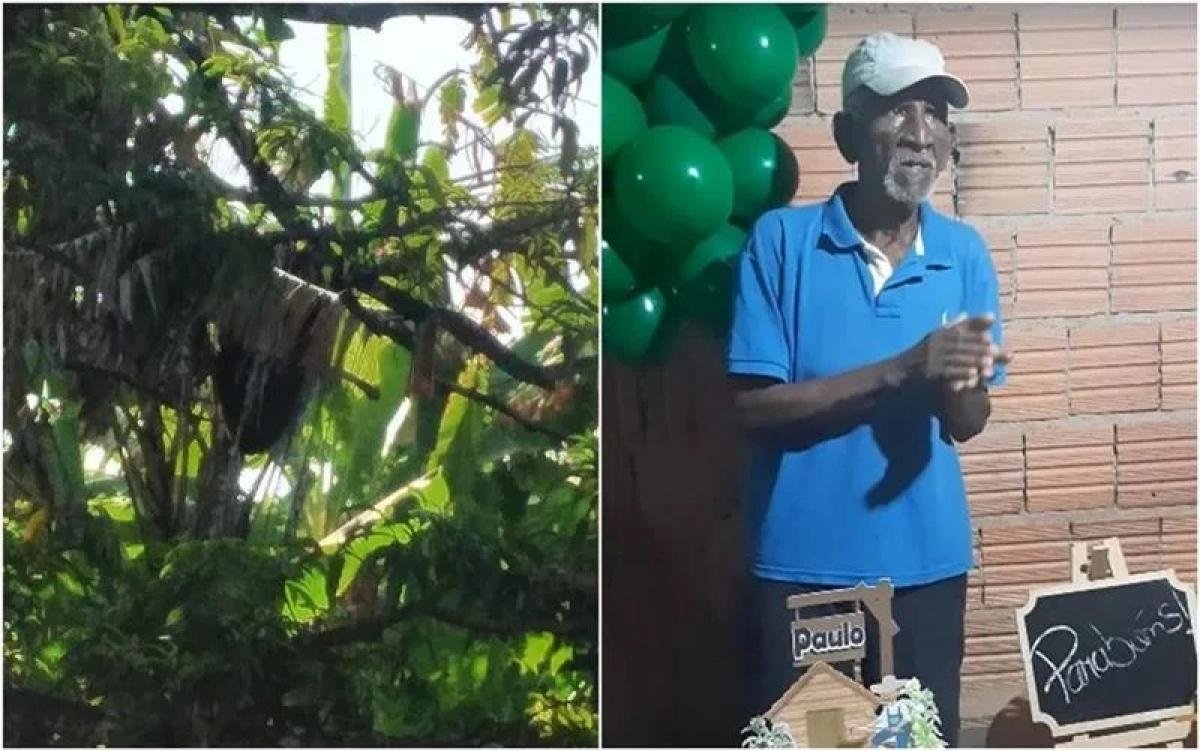Homem, de 85 anos, morre em GO com mais de 500 picadas de abelhas