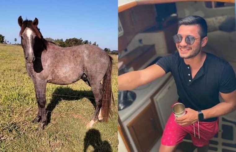 Bêbado, jovem compra cavalo em leilão e só descobre no outro dia: ‘Não sei cuidar do cachorro, imagina de cavalo’