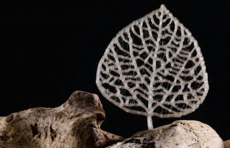 Cientistas criam plástico que vira açúcar quando despejado no meio ambiente