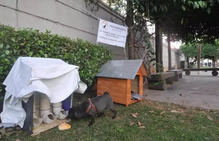 Casinha de cachorro gera embate com moradores de condomínio no Buritis
