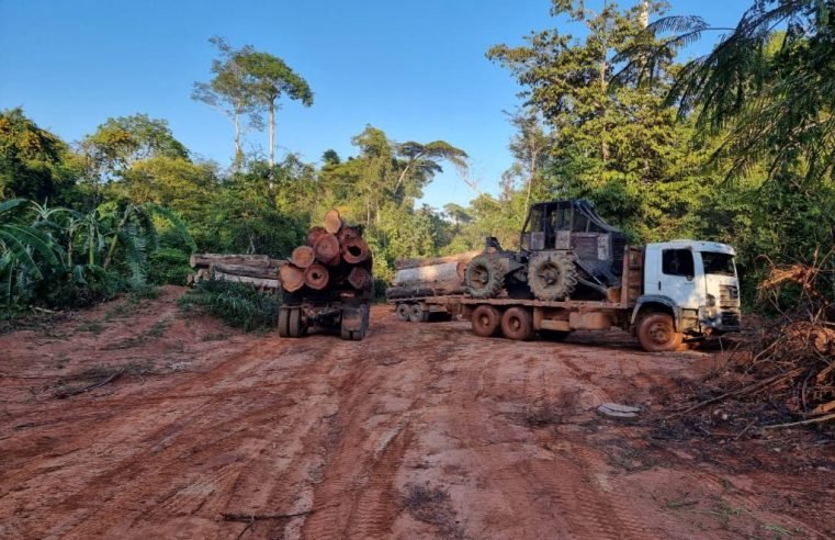 PF apreende 15 caminhões e 3 tratores em ação contra desmatamento em MT