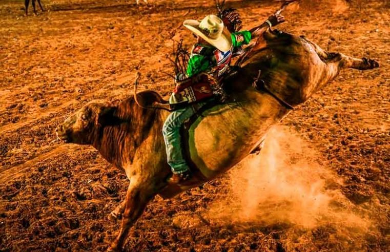 Justiça proíbe realização de rodeios em todo o estado de Minas Gerais