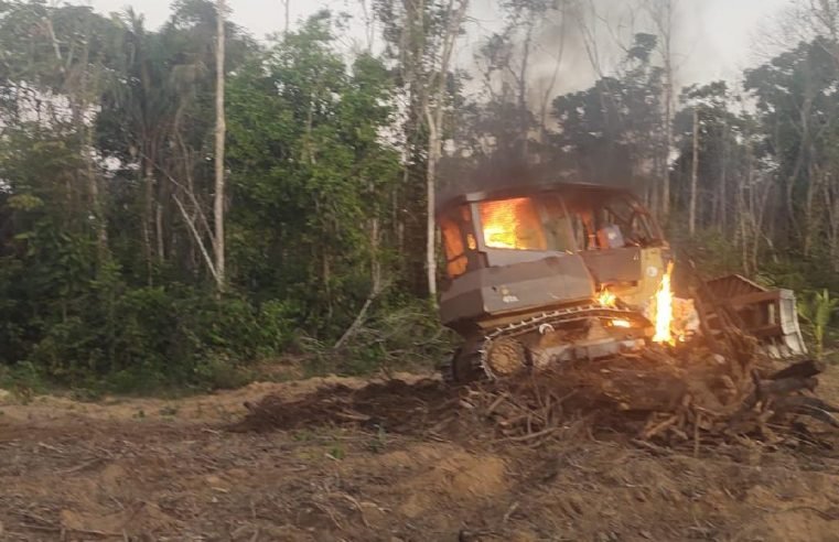 Operação contra desmatamento flagra atividade agrícola em área embargada em Marcelândia