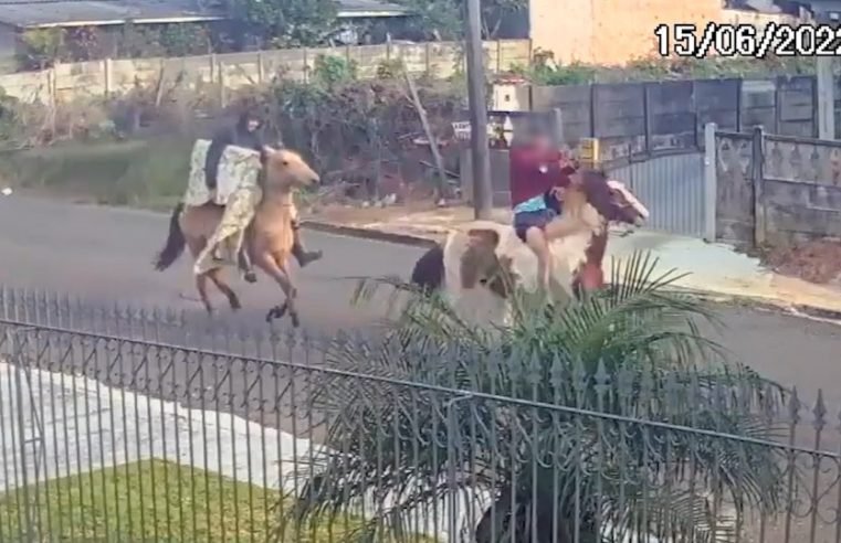 Suspeitos fogem a cavalo levando televisão roubada no Paraná