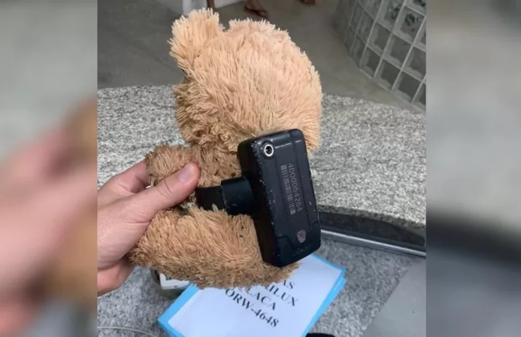 Urso de pelúcia é encontrado com tornozeleira eletrônica no Ceará