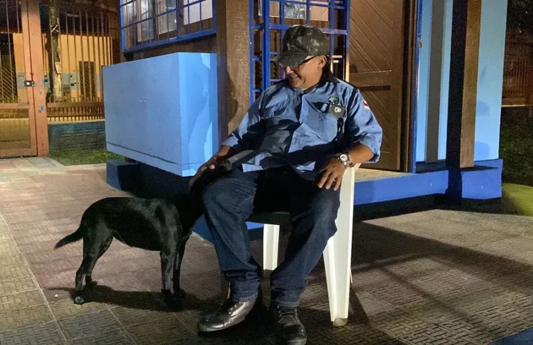 Cadela salva vigilante de assalto em escola de Manaus; conheça ‘Pretinha’
