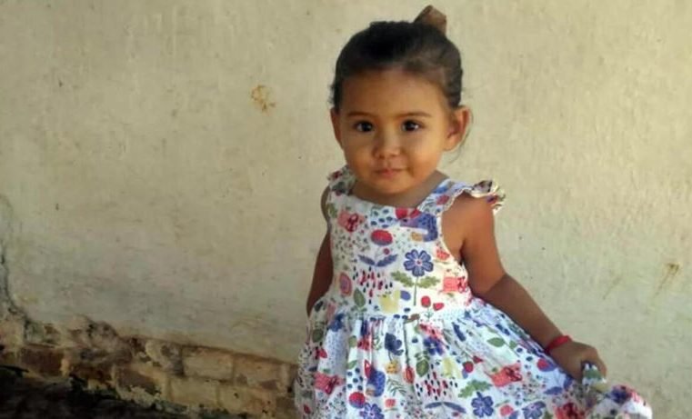 Criança de 1 ano e 8 meses desaparece em lavoura de café no Sul de Minas