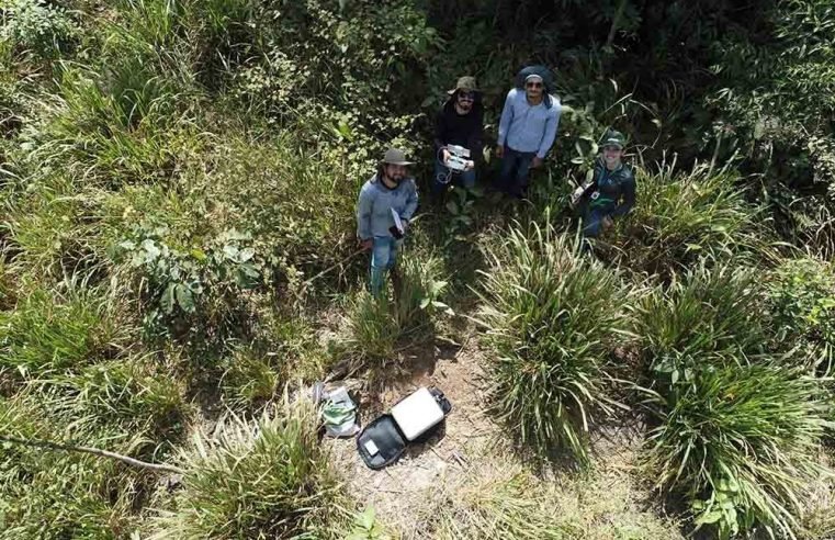 Qualidade da pastagem em alguns municípios de MT será analisada por especialistas