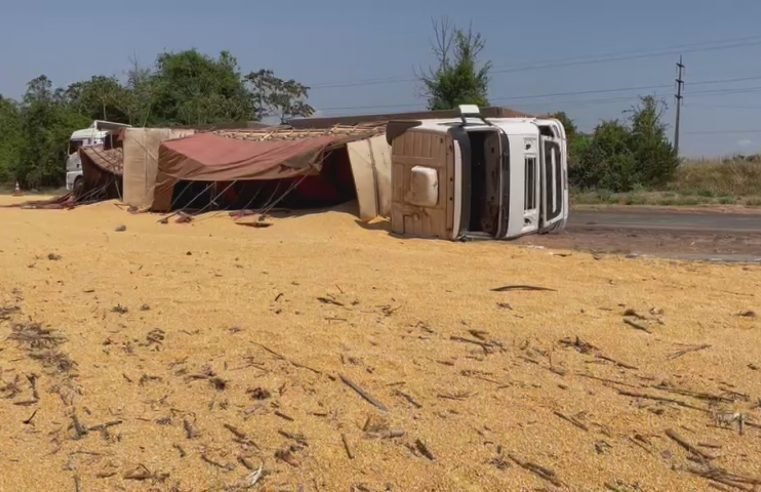 Carreta carregada com milho tomba na BR-163 em Sinop