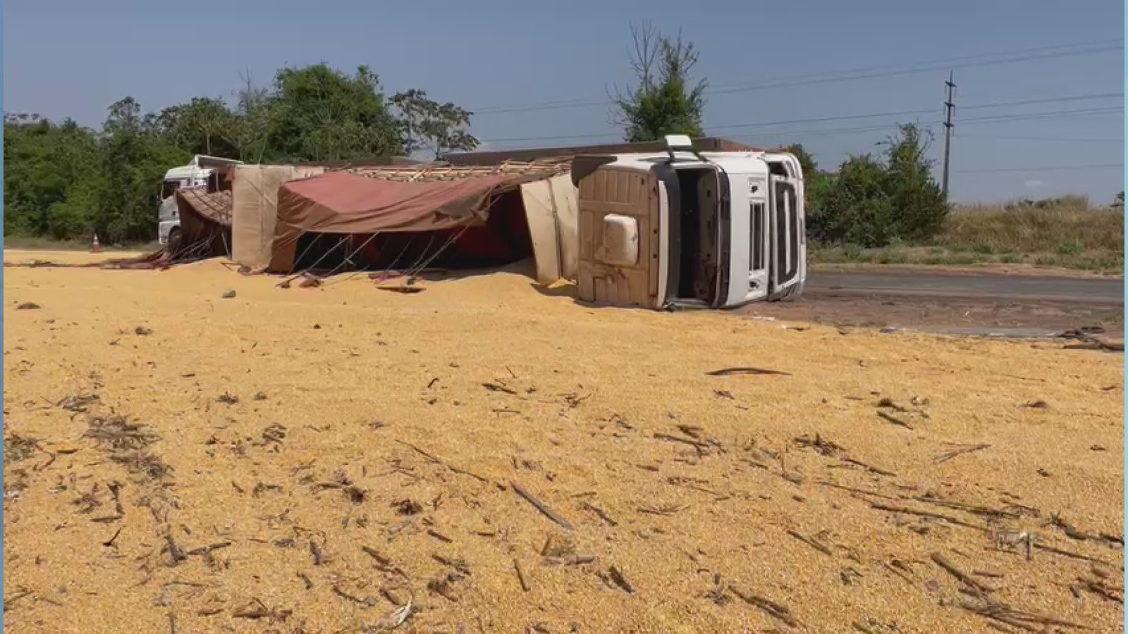 Carreta carregada com milho tomba na BR-163 em Sinop