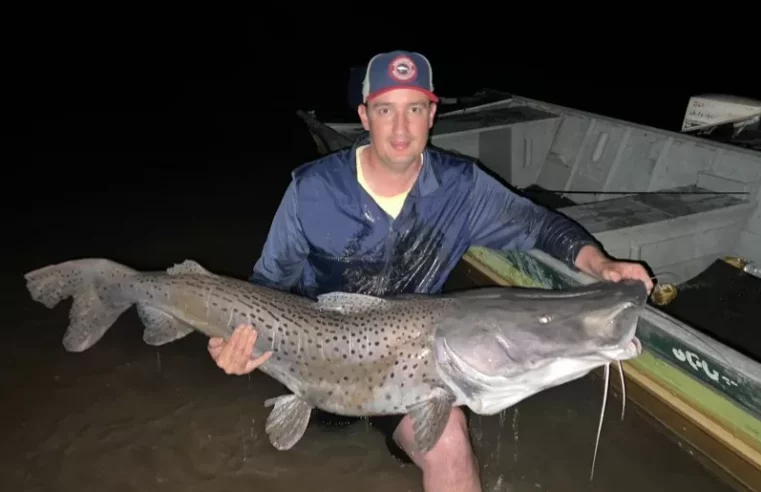 Sem acreditar pescador fisga pintado de 40kg