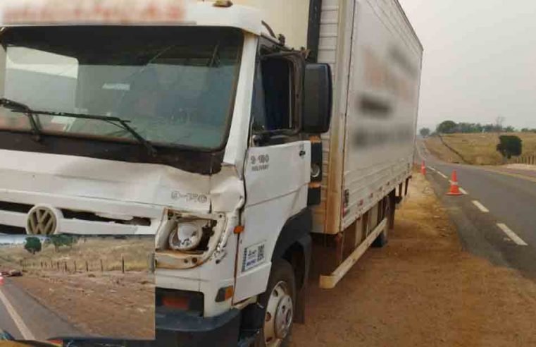 Caminhão atropela cavalo na MT-320 em Colíder
