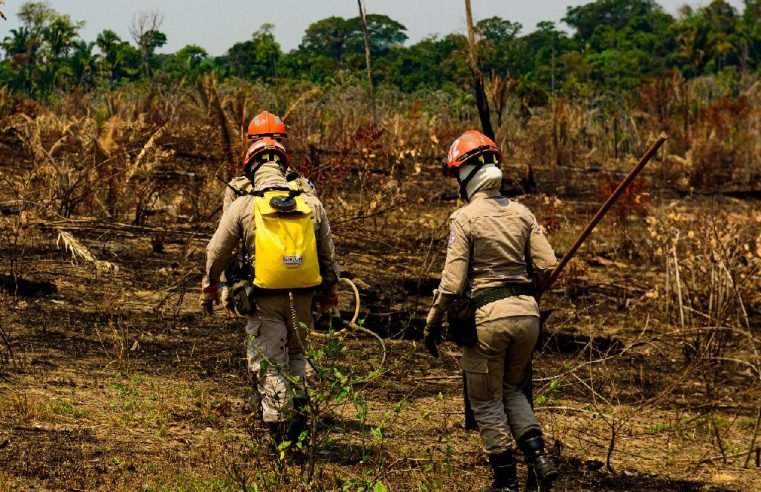 Governo de Mato Grosso lança Operação Abafa Amazônia 2022 nesta terça-feira (4)