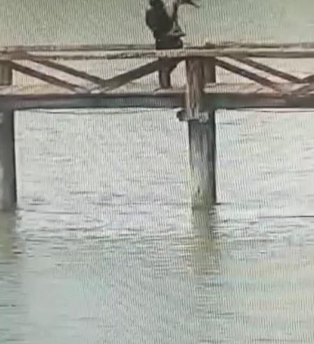 Homem é flagrado jogando cachorro em lago em Lucas do Rio Verde