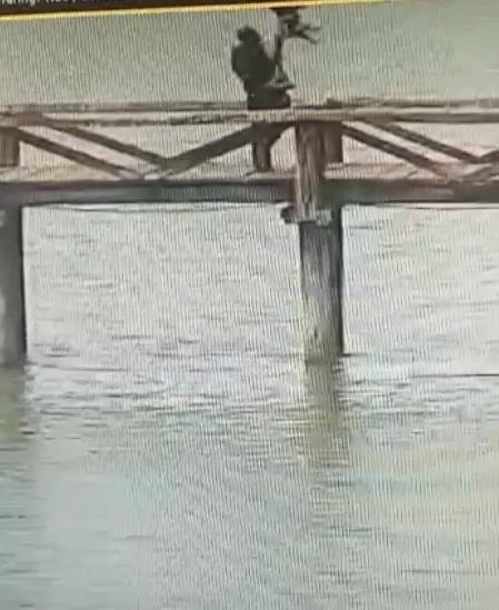 Homem é flagrado jogando cachorro em lago em Lucas do Rio Verde