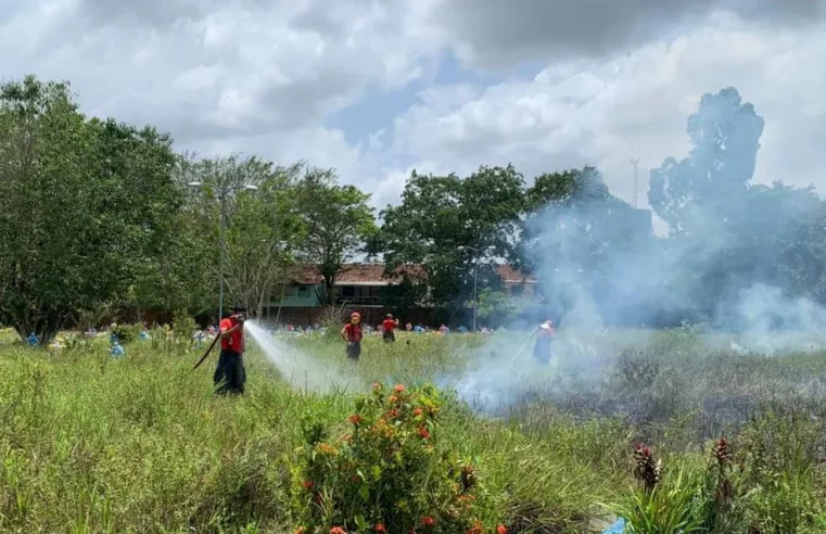 Família solta fogos de artifício em enterro e gera incêndio em cemitério de Belém