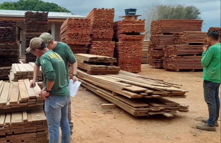 Madeireiro é preso suspeito de fraudar guias florestais em MT