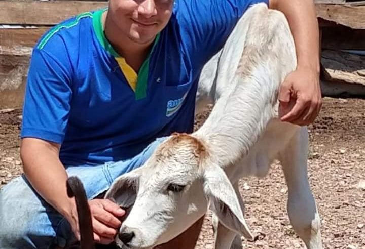 Jovem  morre em colisão com viatura da PRF na BR-163