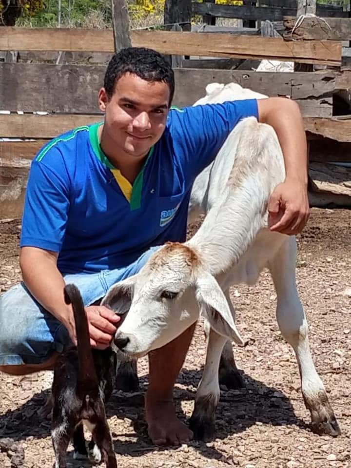 Jovem  morre em colisão com viatura da PRF na BR-163