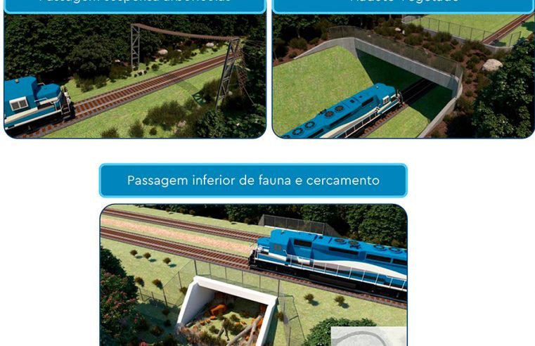 MPF considera histórica a consulta de povos indígenas para construção de ferrovia pelo Governo de MT