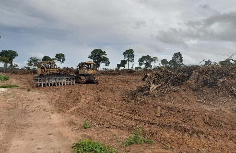 Operação conjunta apreende tratores usados para desmatamento ilegal no norte de MT, Matupá na lista