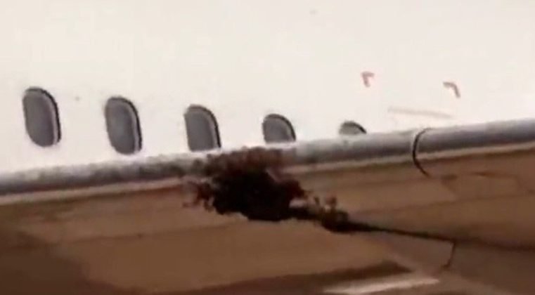 Voo entre Rio e SP é cancelado por presença de abelhas em asa de avião