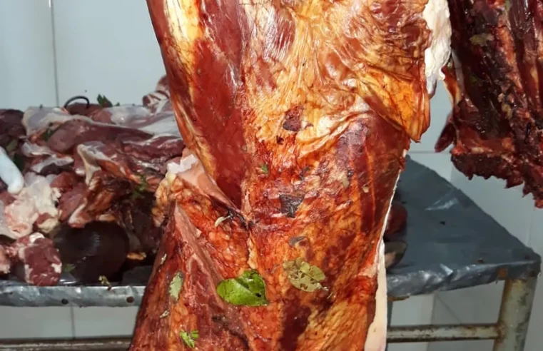 Fiscalização apreende quase 250kg de carnes podres em açougue de Cuiabá