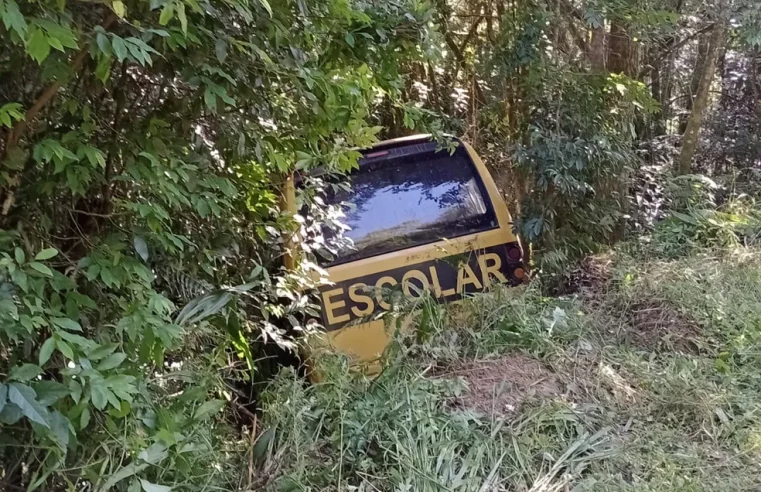 Ônibus escolar cai em ribanceira e ao menos quatro crianças ficam feridas em Tunas do Paraná