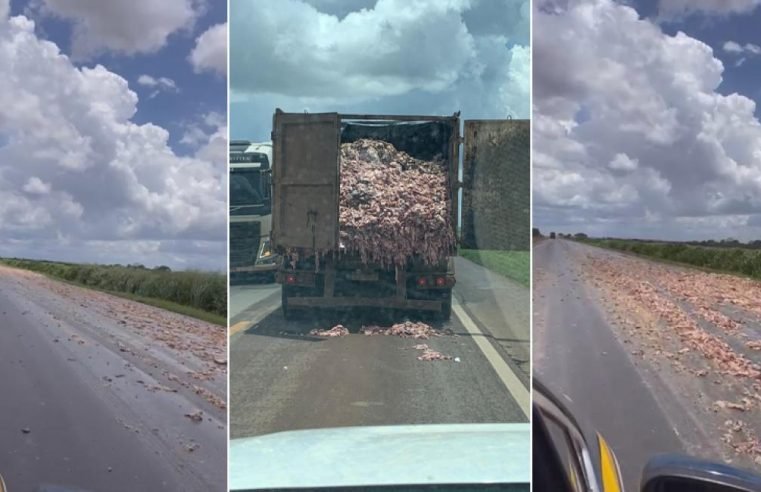 Tampa de caminhão se abre e carga de carcaças de frango se espalha pela BR-163