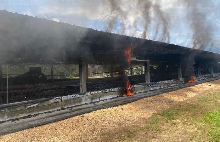 Incêndio destrói aviário de frango em Nova Mutum