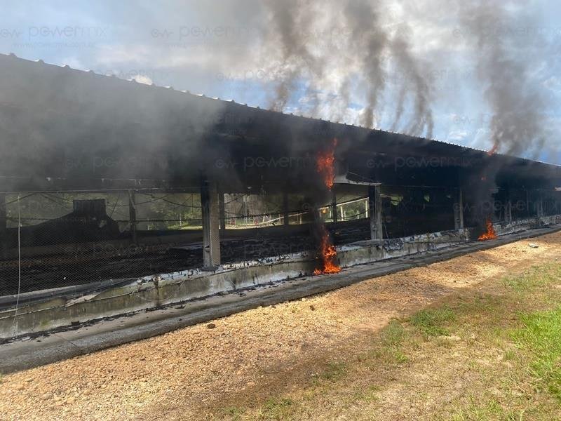 Incêndio destrói aviário de frango em Nova Mutum