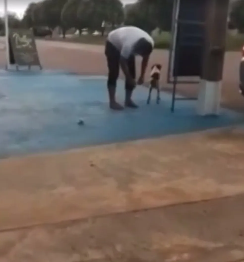 Vereador de MT é filmado colocando bombinha em rabo de cachorro