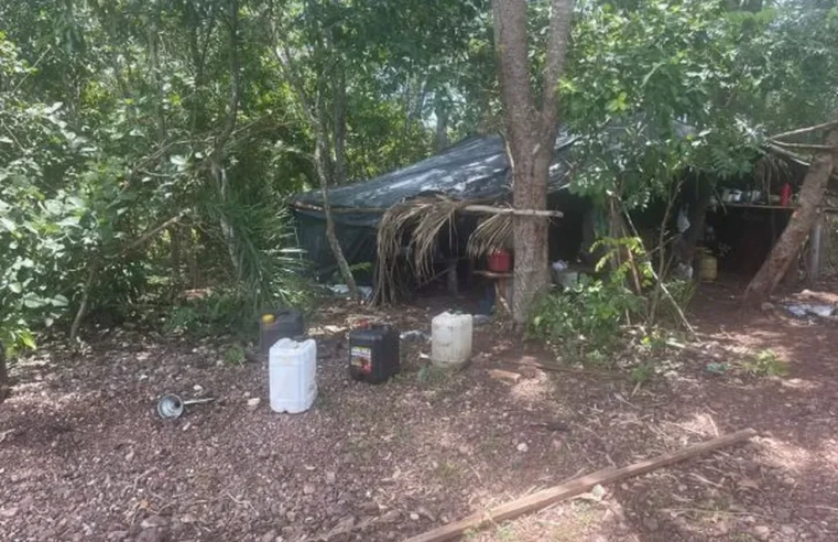 Quatro trabalhadores são resgatados em condições análogas à escravidão em fazenda de MT