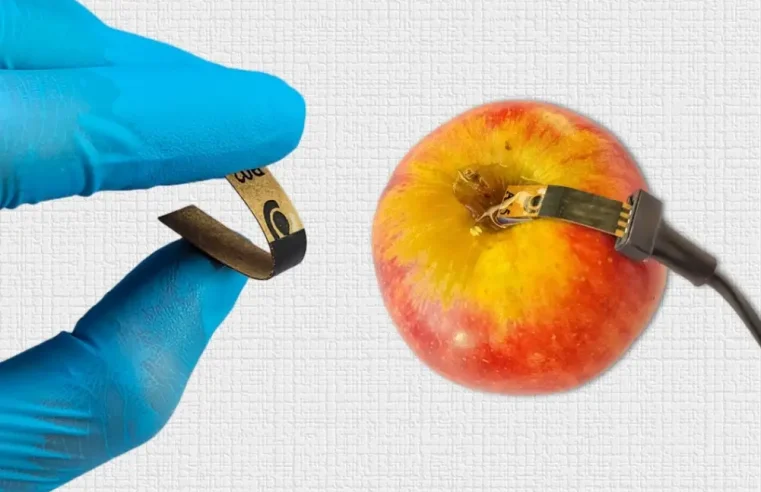 USP cria sensor barato que detecta agrotóxico em segundos